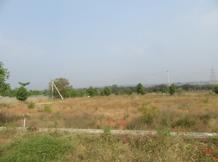 6) Li Id : 190 - Pic 7.JPG